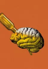 Вред алкоголя на организм человека