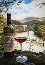 Абхазское виноделие. «Вина и воды Абхазии»