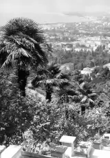 Абхазия. Начало 1930-х гг.. Индустриализация