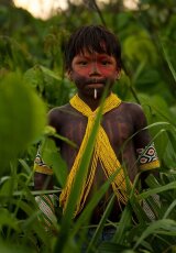 Амазонка. Жизнь на самой длинной реке мира