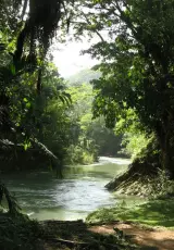 Дикая Южная Америка. Амазонские джунгли