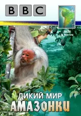 Дикий мир Амазонки