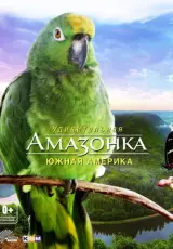 Амазонка 3D