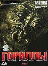 Гориллы