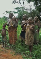 Пигмеи Африки жизнь и природа