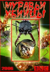 BBC. Муравьи-убийцы