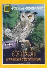 Совы: Ночные охотники