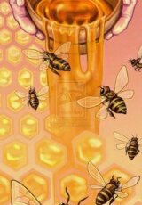 Город пчёл