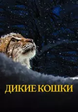 Дикие кошки. Рысь