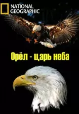 National Geographic. Орёл - царь неба