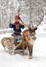 Саамы. Дети белого оленя