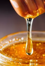 Как пчелы делают мед