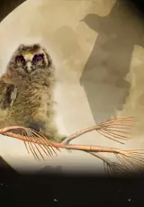 Люди и совы