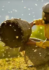 Точка возврата