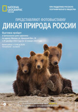 Тайга. Дикая природа России. Уссурийский край