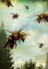 Тайная жизнь пчел