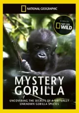 Тайна горилл. NatGeo