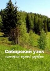 Сибирский узел. История одной деревни