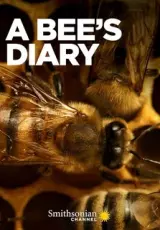 Жизнь медоносной пчелы