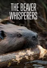Тайная жизнь бобров