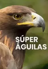 BBC. Могучие орлы