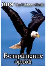 Мир природы. Возвращение орлов