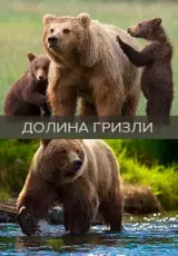 Йеллоустон — поле битвы. Долина гризли