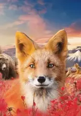 Огненный лис