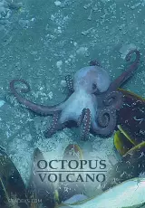 Вулкан осьминогов