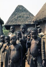 Камерун. Пигмеи. Люди величиной с кулак...