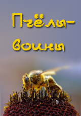 Пчелы воины