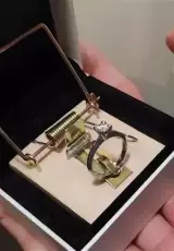 Брачные аферисты. От любви до смерти