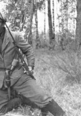 Лжепартизаны в Крыму