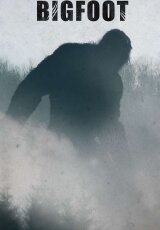 Обнаружен снежный человек