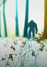 Осторожно, йети! Документальный спецпроект