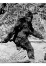 Снежный человек