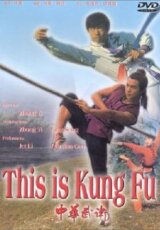 Это Кунг-Фу