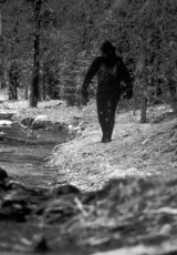 Искатели. В поисках снежного человека