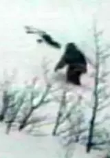 Тайны Снежного Человека