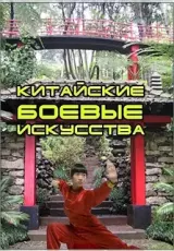 Распространение боевых искусств Китая