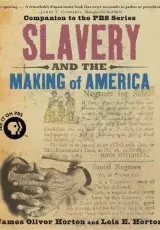 Как рабство создало Америку