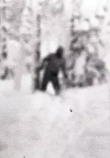 Нападение снежного человека - на перевале Дятлова