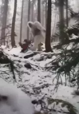 Снежный человек - самые шокирующие гипотезы