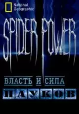 Власть и сила пауков