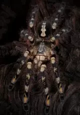 Птицеед - Король пауков