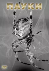 Пауки. «Как устроен мир" с Тимофеем Баженовым