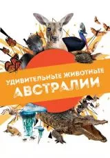 Удивительные животные Австралии