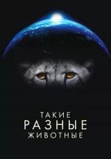 Такие разные животные