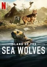 Волки острова Ванкувер