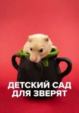 Детский сад для зверят